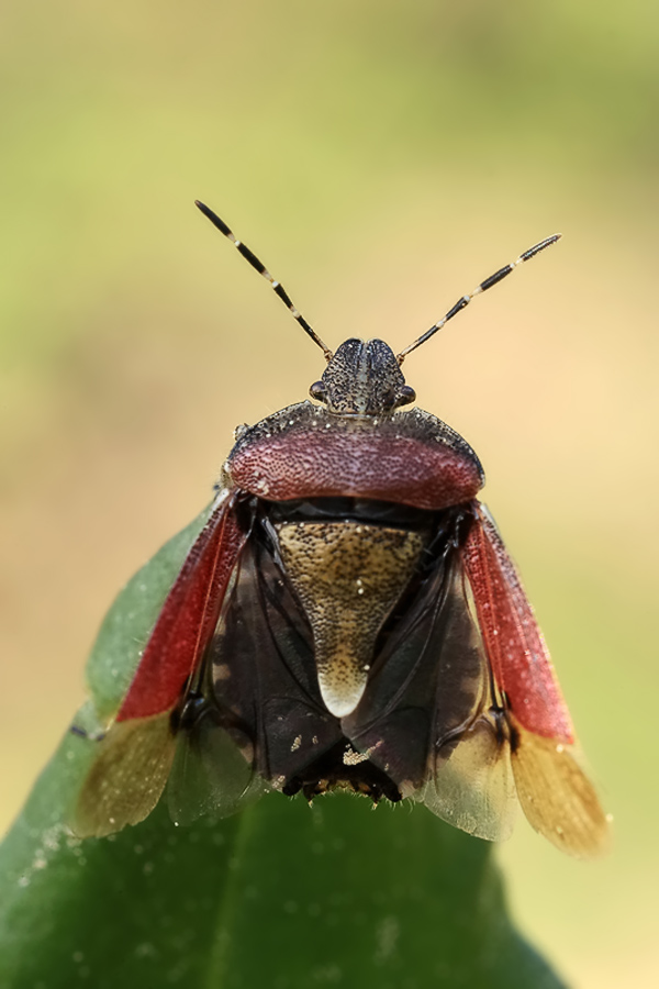 MART1783 Web Kopie.jpg