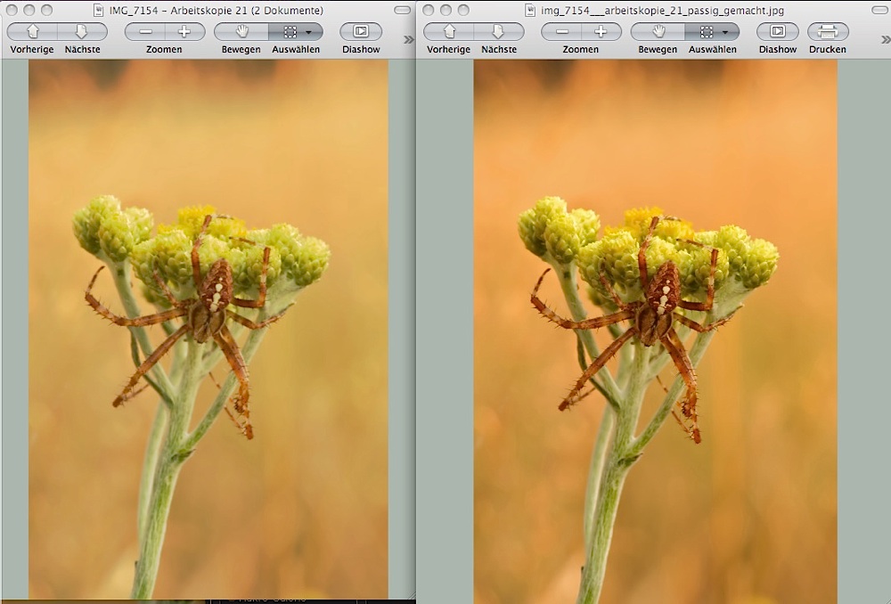 screenshot machmichpassig.jpg