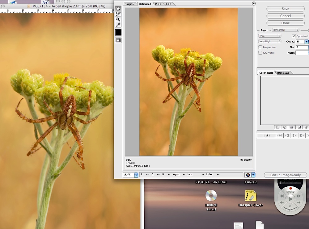 screenshot photoshop.jpg