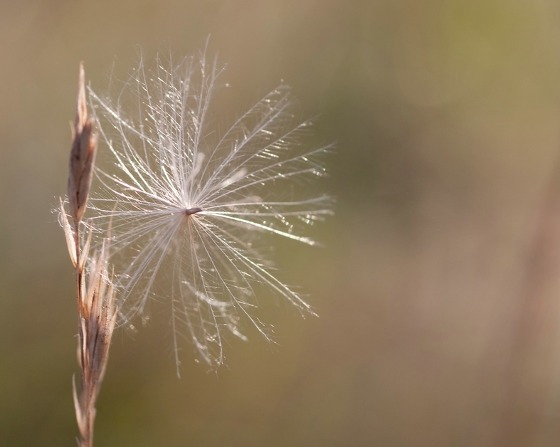 Am Morgen-3498_f1.jpg