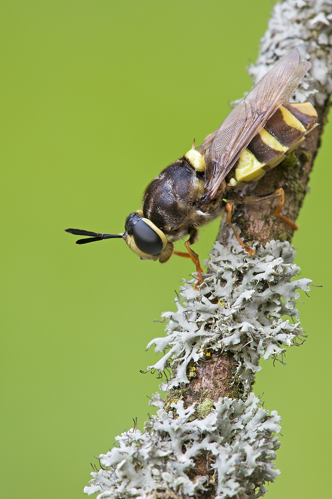 IMG_4777web1.jpg