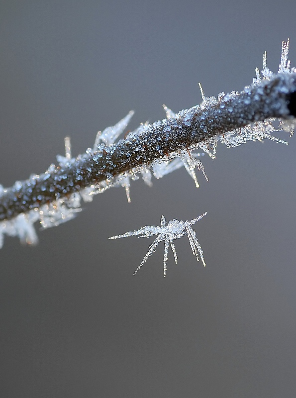 schwebender Eiskristall_filtered.jpg