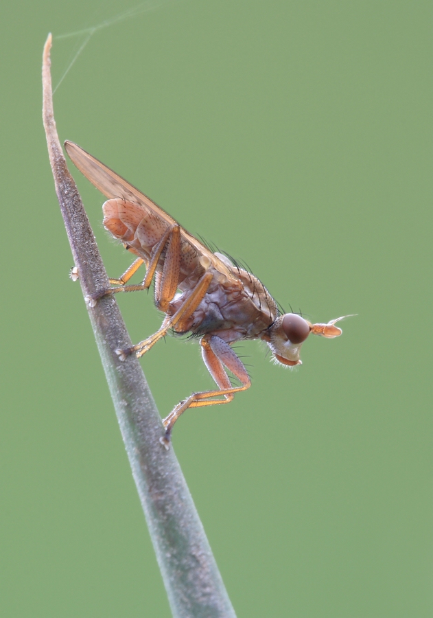 pbauer_IMG_1982 Kopie.jpg