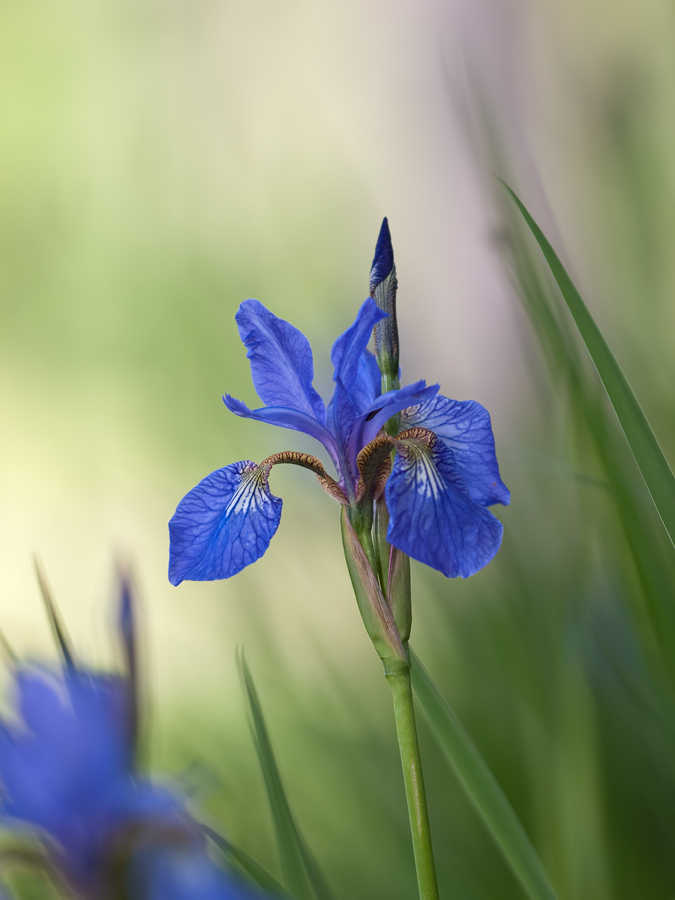 2010 05 23_1431_bearbeitet-1.jpg