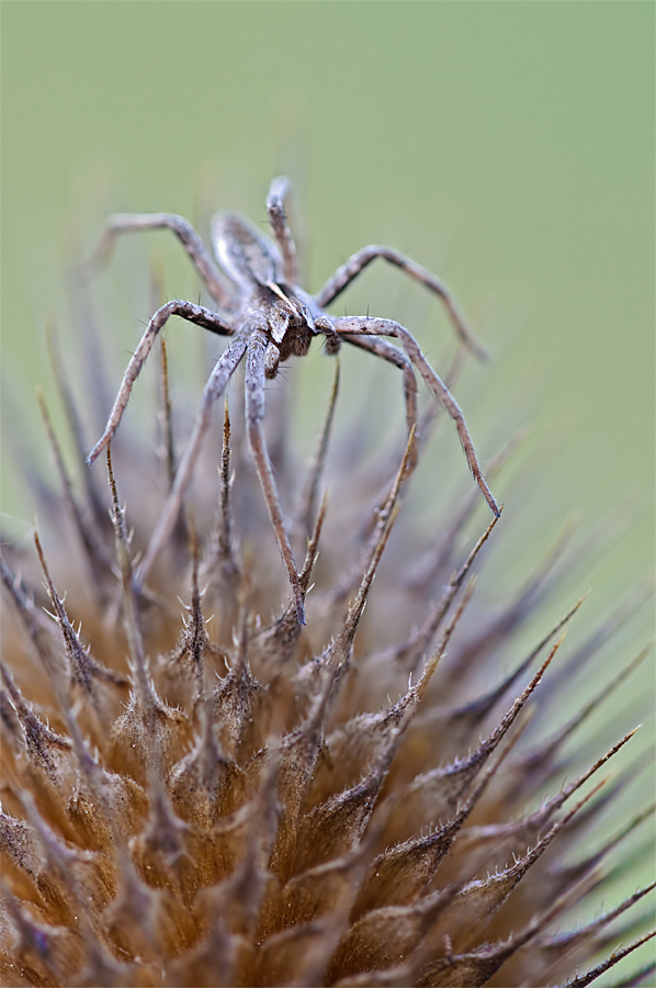 Kopie von DSC_5848_900_2.jpg