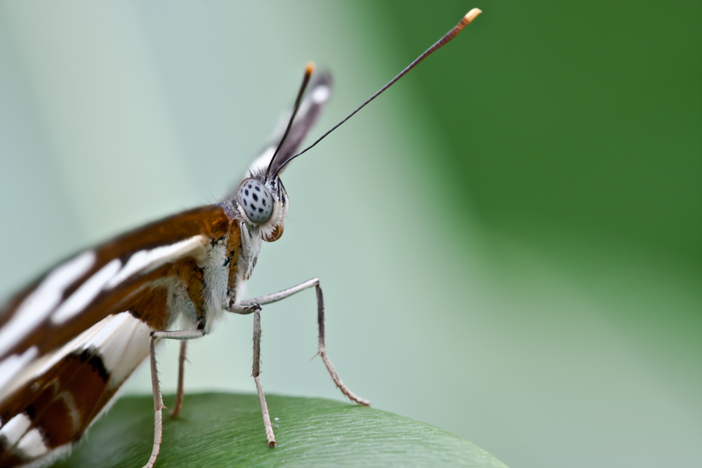 2011.01.29 10-18-55 9511.jpg