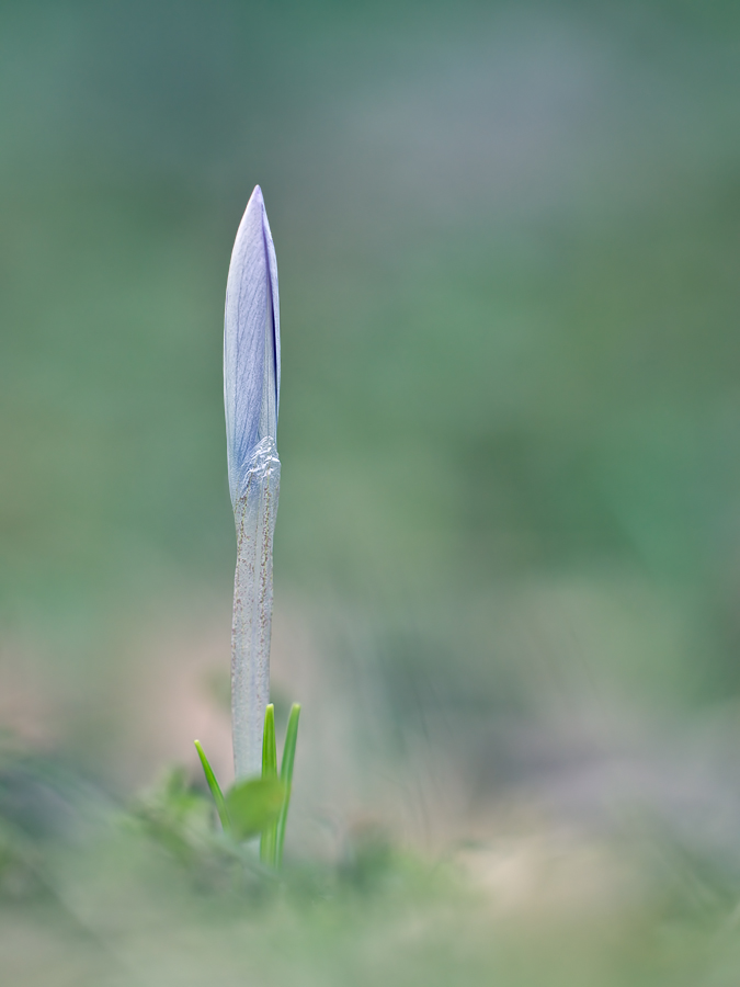 2011 02 08_8640_bearbeitet-1.jpg