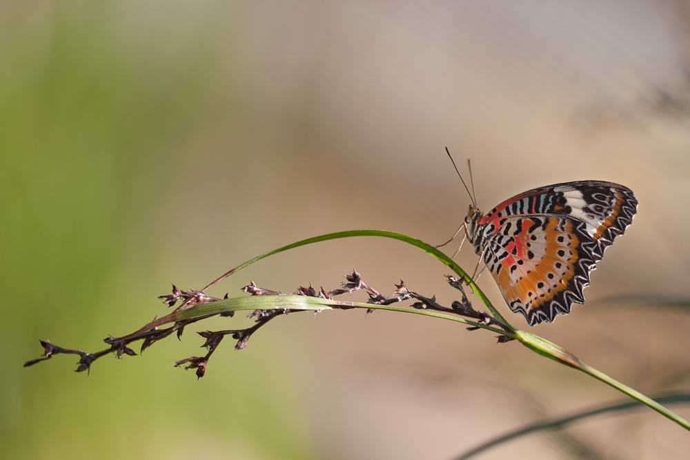 2011.02.26 09-38-05 0526.jpg