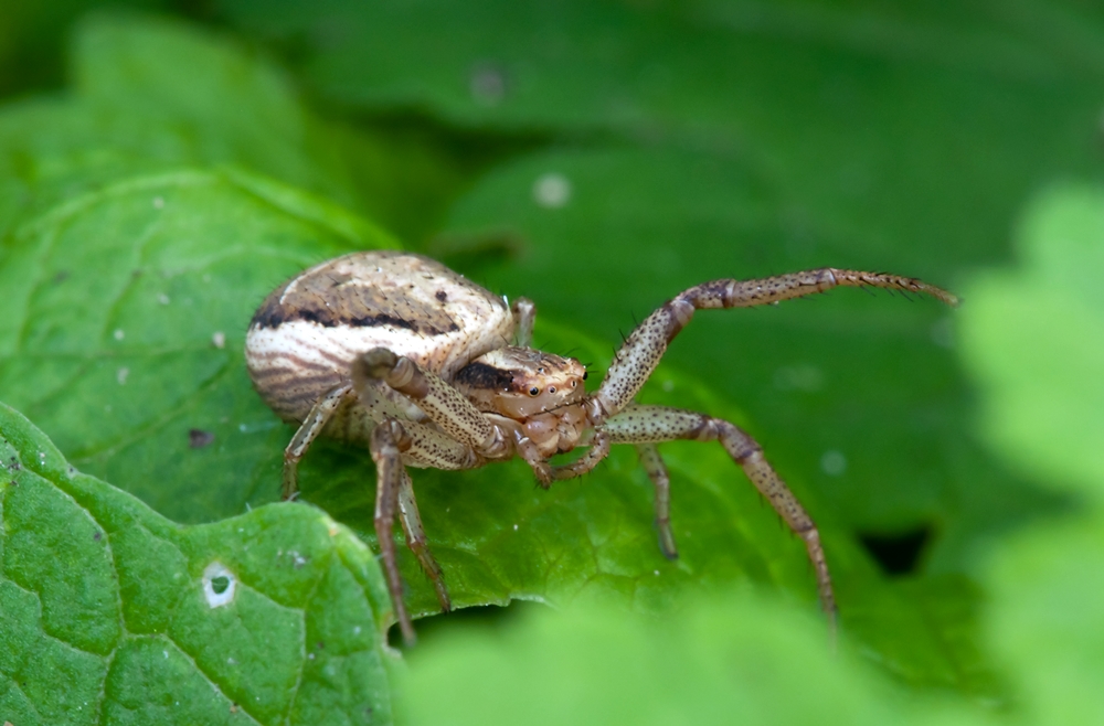 DSC_2043 Kopie verkl..jpg