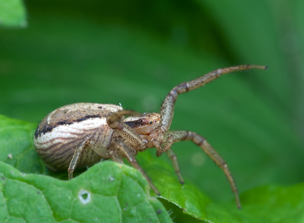 DSC_2048 Kopie verkl..jpg