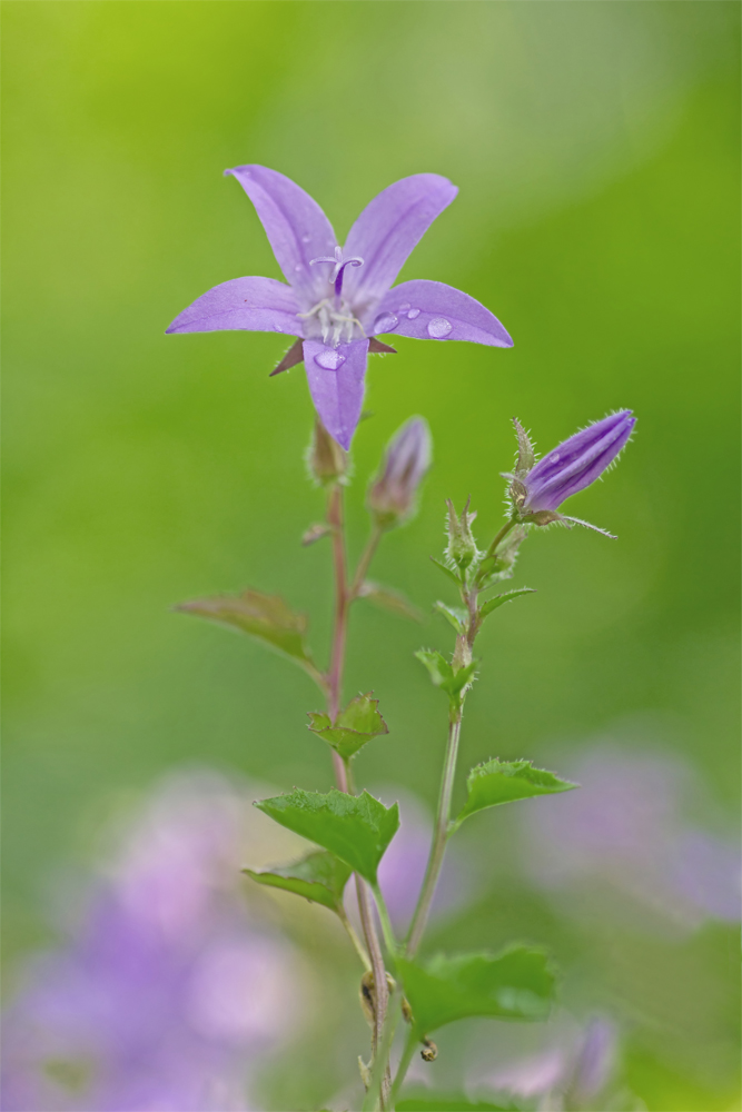 IMG_3043 Kopie_bearbeitet-1_filtered Kopie.jpg