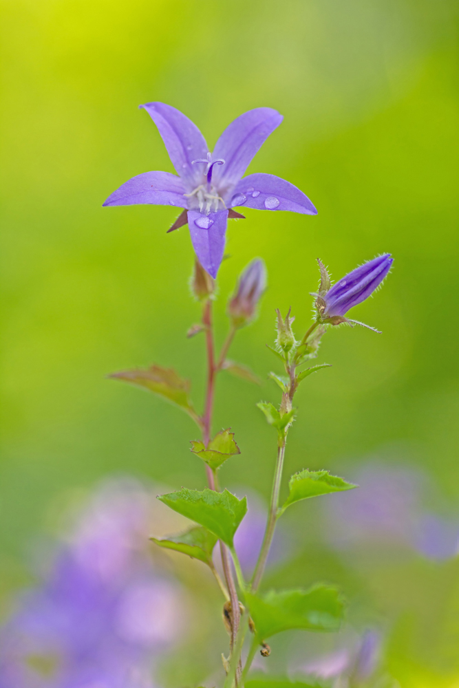 IMG_3043_2 Kopie_filtered_bearbeitet-1.jpg