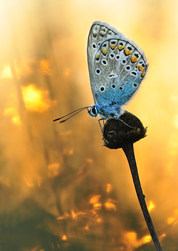 Sonnenspiel web_2314.jpg