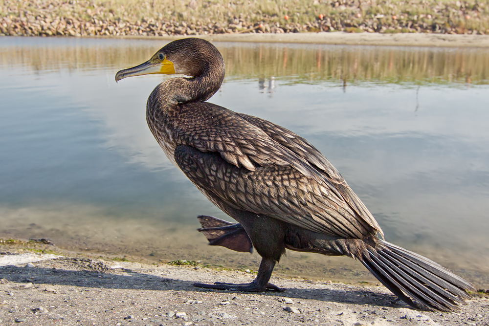 F25G5886-Bearbeitet.jpg