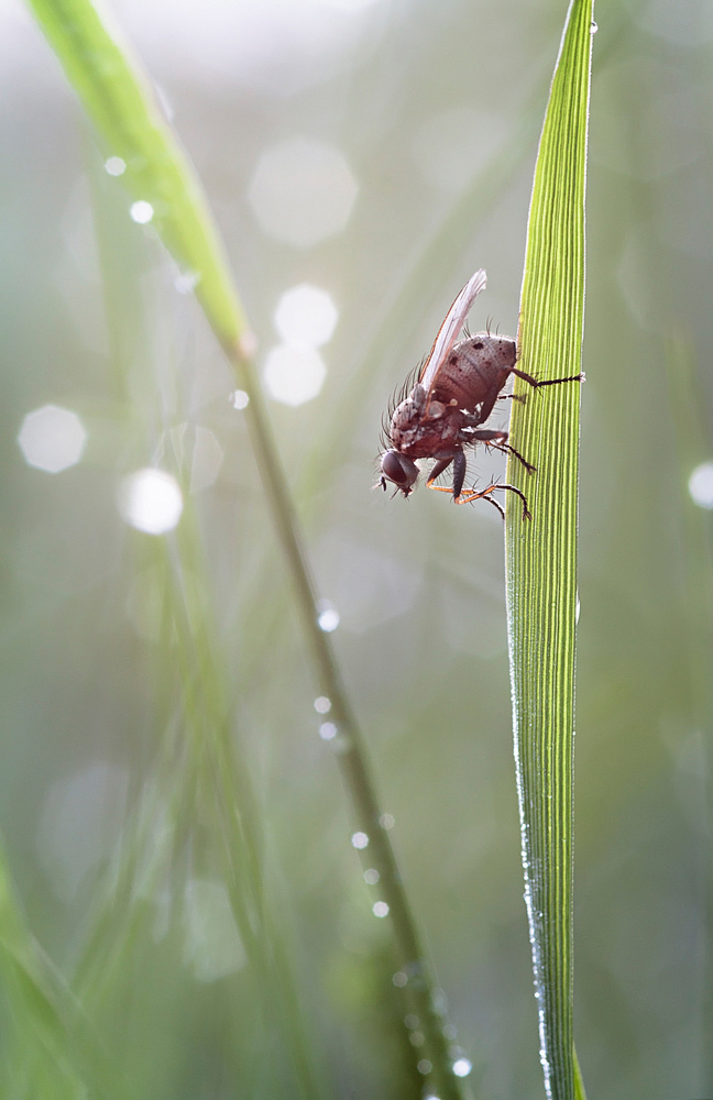 _MG_7208 als Smart-Objekt-2_1000px_2_schnitt.jpg