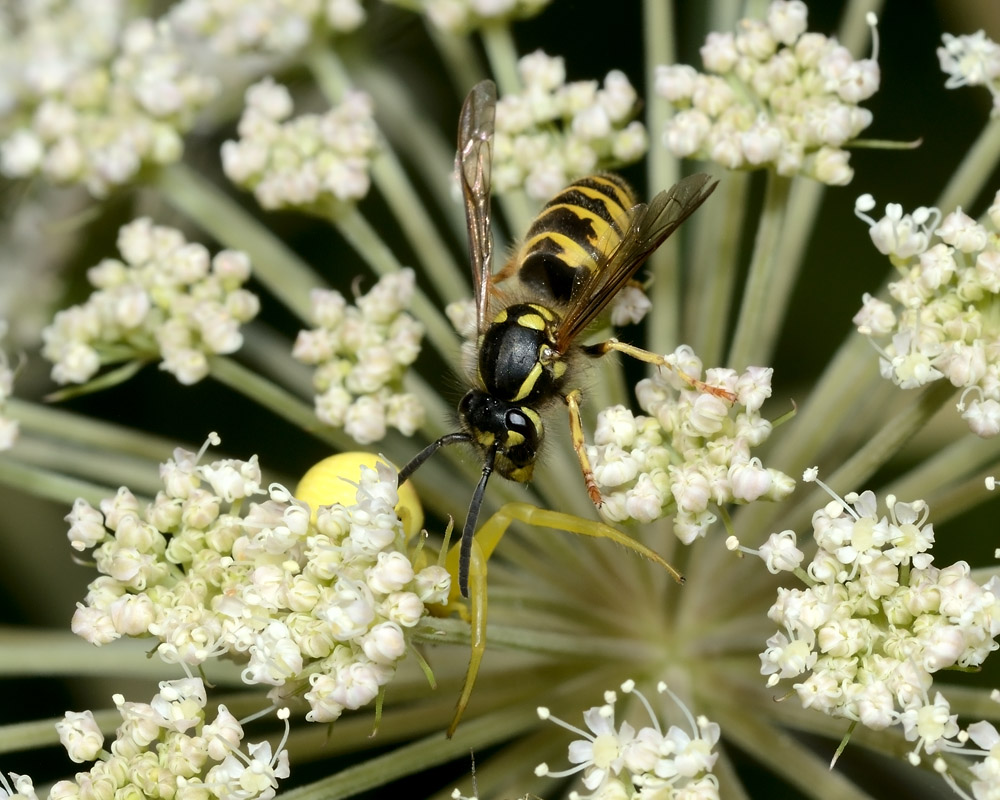 D7K_6510.jpg