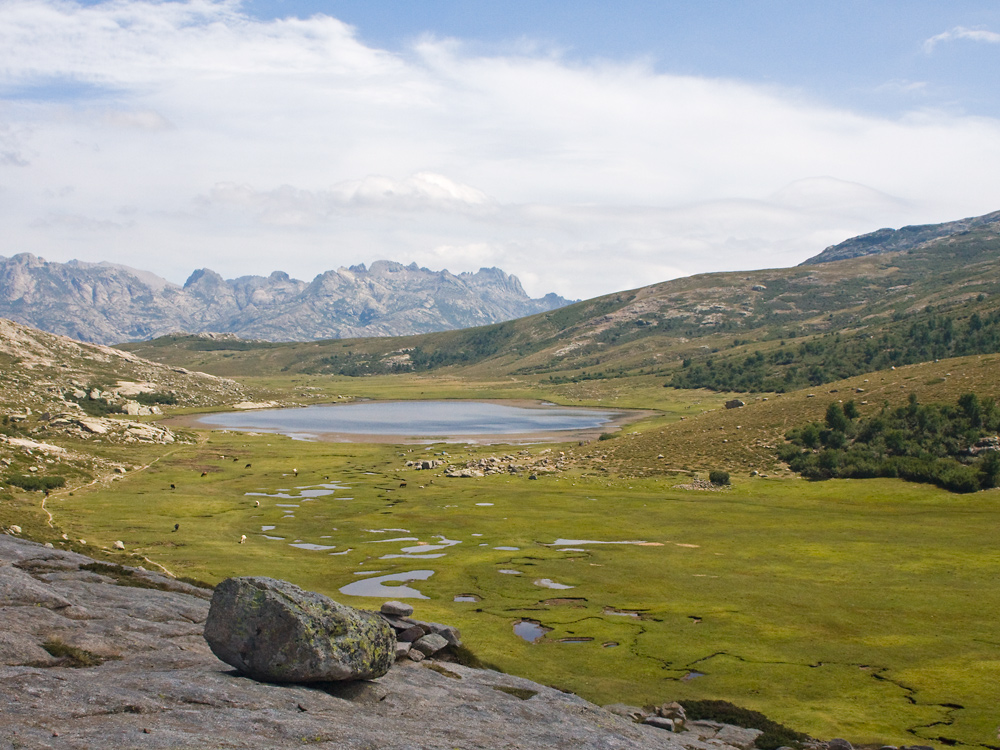 IMG_2711-ninosee.jpg