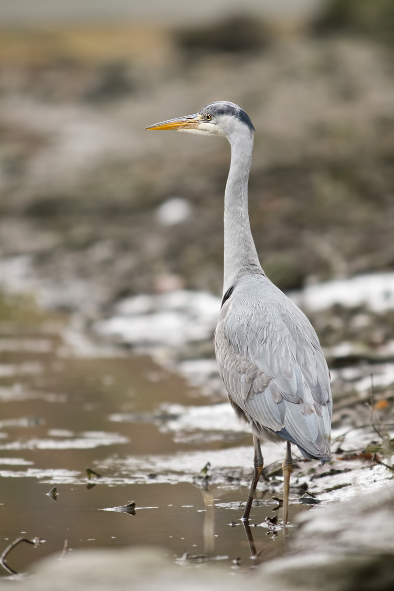 2012 02 26_8041-Bearbeitet.jpg