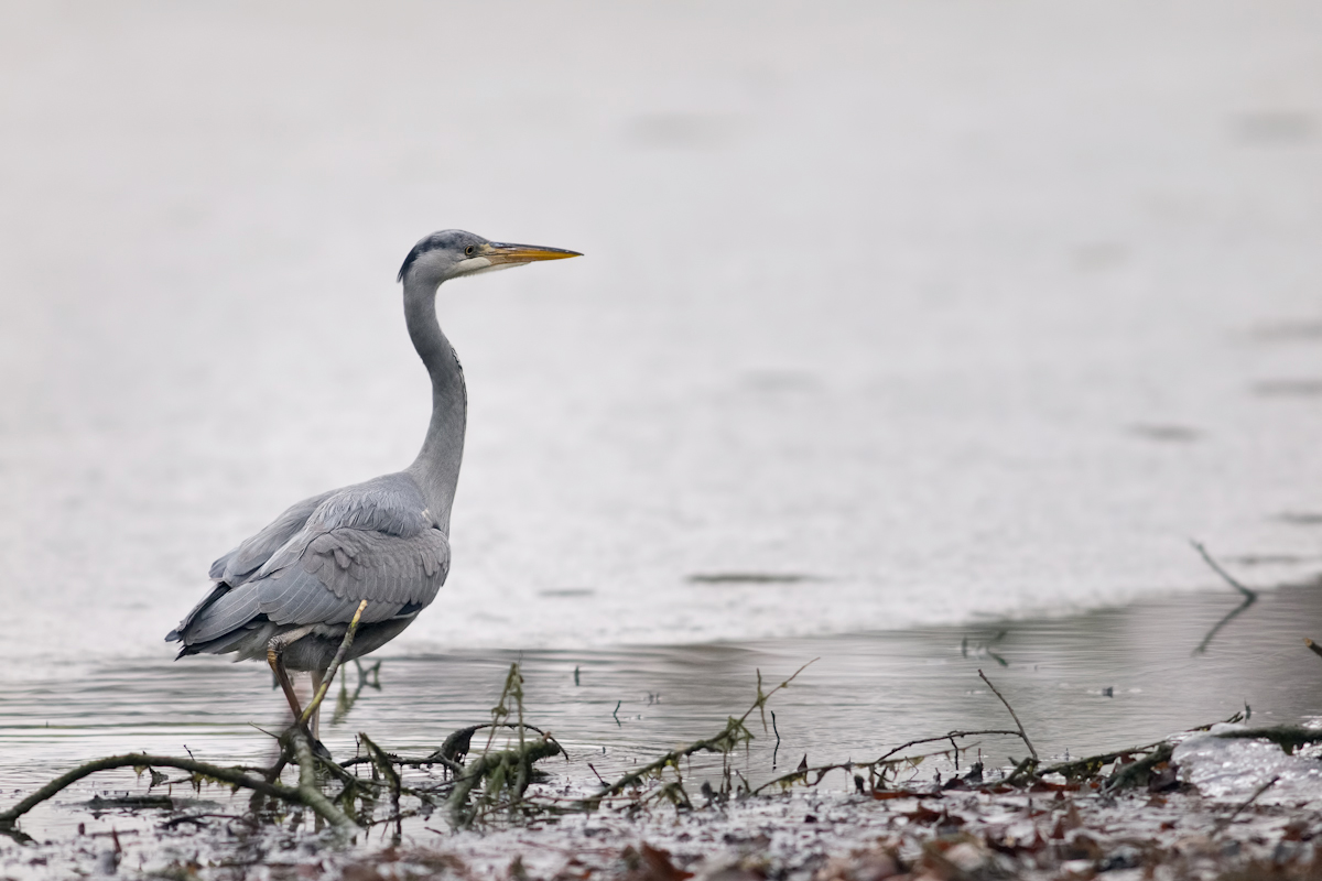 2012 02 26_8027-Bearbeitet.jpg
