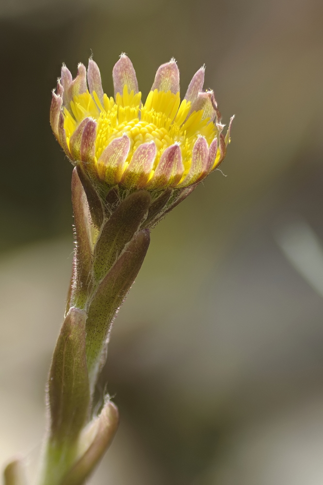 D90_7275-7288_CZP.jpg