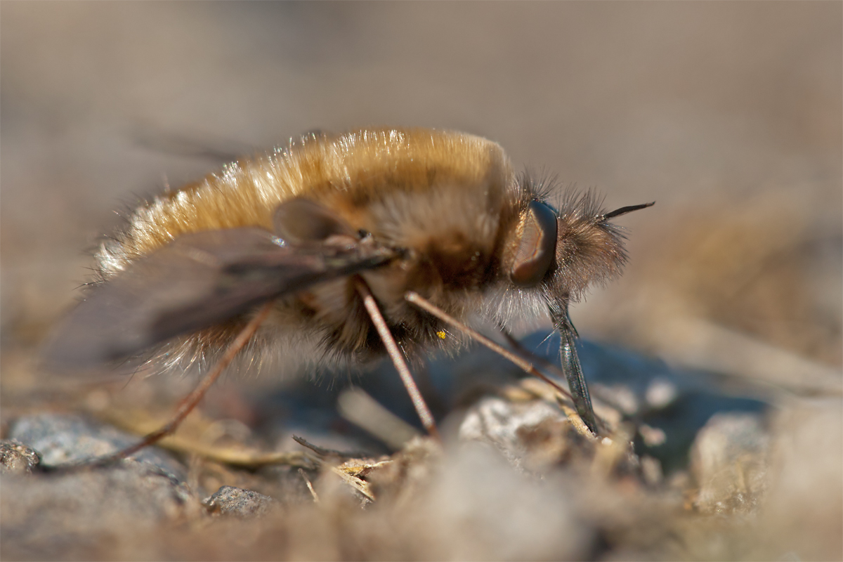 PS_3_2_P3128020.jpg