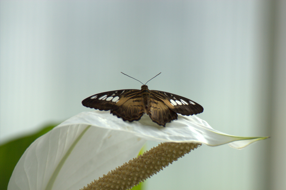 2012_03_25_3042.jpg