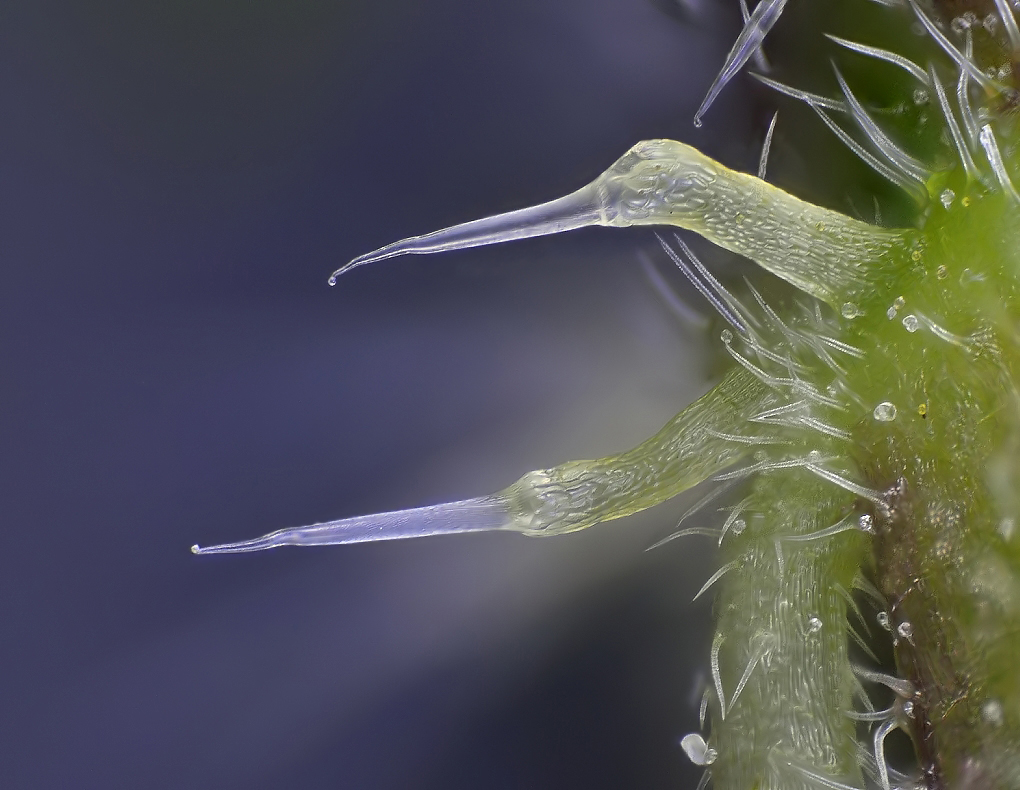 2012-04-18-19.48.19 ZS retouched_7.jpg