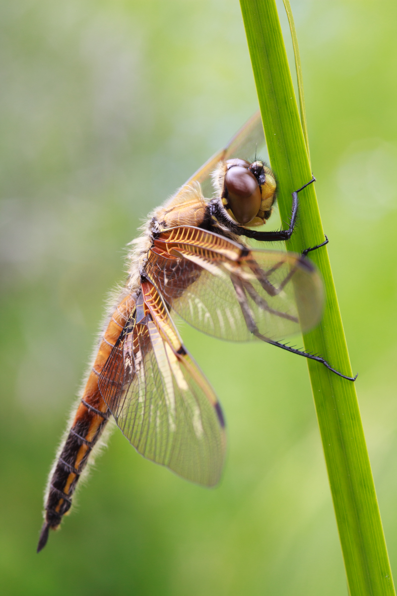 20120503_0062-1192.jpg