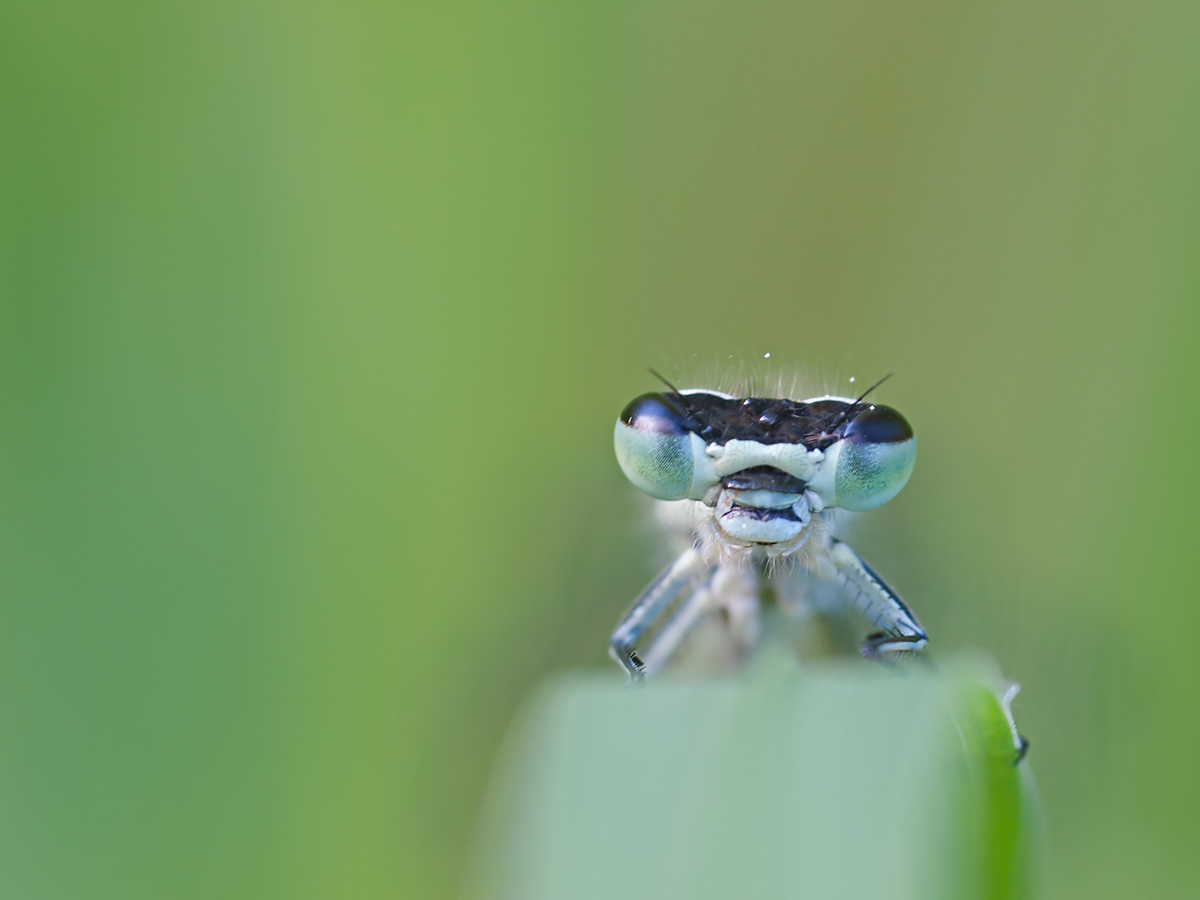 P5122968k1.jpg