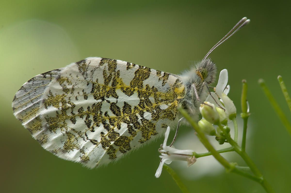DSC_0149.jpg