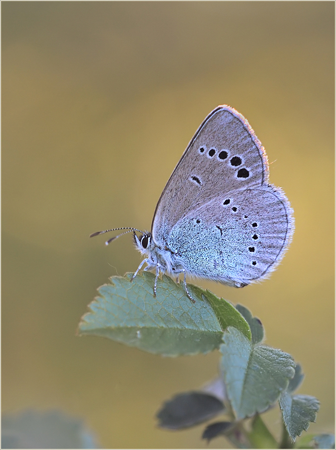 DSC_5405.jpg