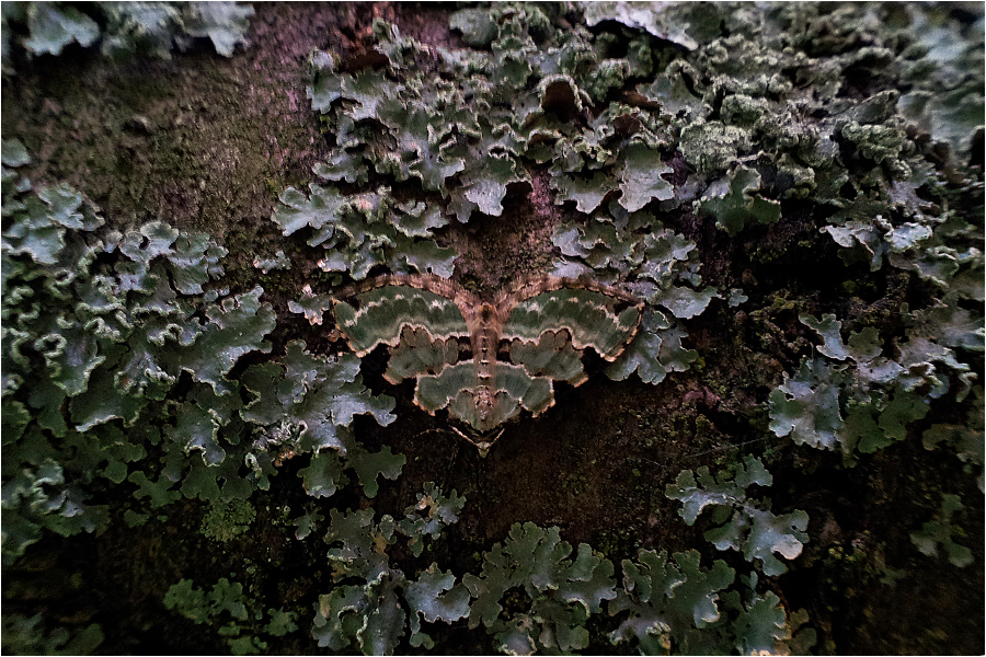 20120510_203141.jpg