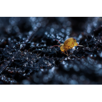 2025-12-16 20-12-00 (B,R18,S3)15-Bearbeitet.jpg (epperfoto)