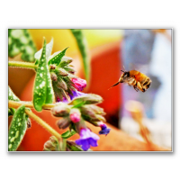 zuhause in der Sitzecke
(thueringer80) Makroforum-01.jpg (thueringer80)