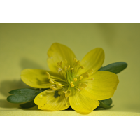 2026-02-24-14.06.27 ZS PMax_01.jpg (Matthias_Schmidt_Bth)