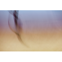 _R5A8129_1000.jpg (Lidschlag)