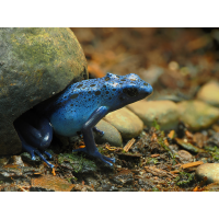 2026-01-20_12-49-42_P1200140_Stack_aus_12 (Meth B,Radius8,Smoothing4)_klein.jpg (bachprinz1)