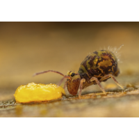 Was liegt denn da ?
(rincewind) ks01-1.jpg (rincewind)