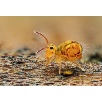 ks02-1.jpg (rincewind)