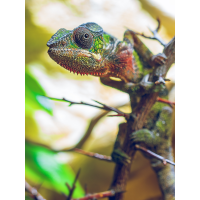 Mal vorbeigeschaut
(Benjamin Tull) _A316674-Kopie.jpg (Benjamin Tull)