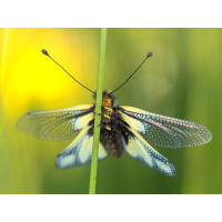 _5010661-Kopie.jpg (Benjamin Tull)