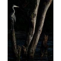 WI,
(Benjamin Tull) _5244426-Kopie.jpg (Benjamin Tull)