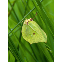 _7011126-Kopie.jpg (Benjamin Tull)