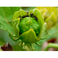 20250926-2025-.jpg (Erich)