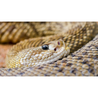 20170816-2017_08160128.jpg (Erich)