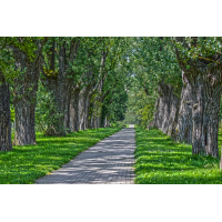 2014_08040038 -.JPG (Erich)