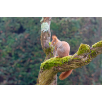 Topfgucker
(Erich) DSC_0004-NEF_DxO_DeepPRIME.JPG (Erich)