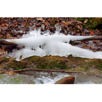 P1060011-.JPG (Erich)