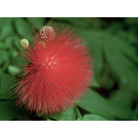 2026-01-01 17-05.JPG (Erich)