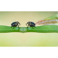 2021-06-15 17-.JPG (Erich)